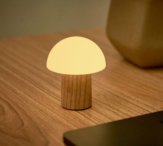 Gingko Super Mini Alice Mushroom RBG Colour Changing Desk Lamp