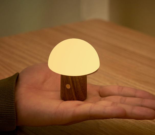 Gingko Super Mini Alice Mushroom RBG Colour Changing Desk Lamp